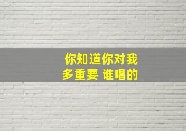 你知道你对我多重要 谁唱的